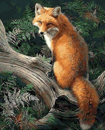 Fox in the Woods