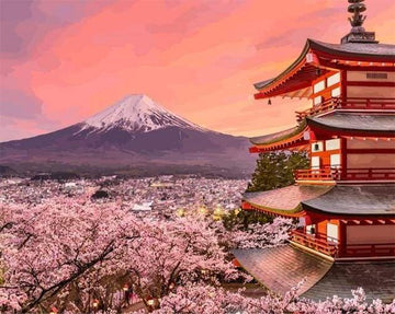 Fuji Cherry Blossoms in Spring