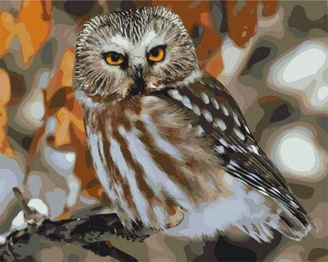 Gray Owl