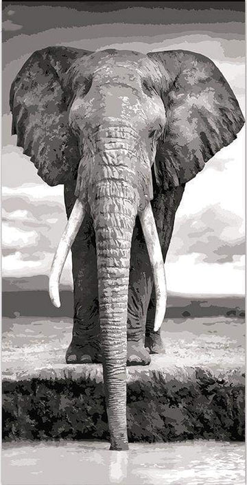 Grey Elephant