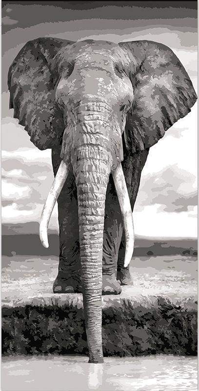 Grey Elephant