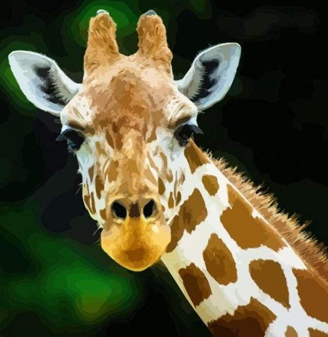 Head And Neck Giraffe