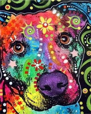 Head Dog Star