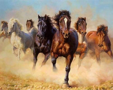 Herd of Horses