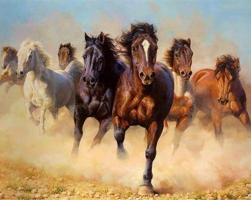 Herd of Horses