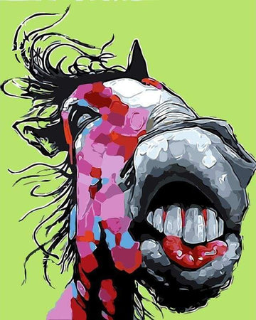 Horse Teeth