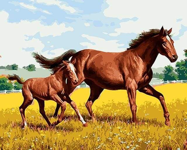 Horse and Foal in the field