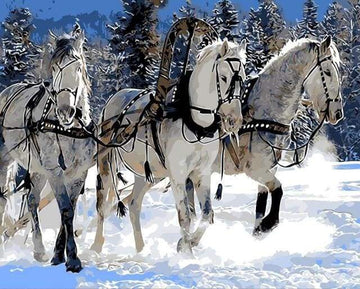 Horse ballad in the Snow