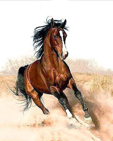 Horse in full swing