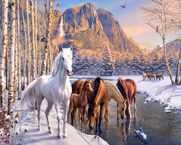 Horses during winter near the river