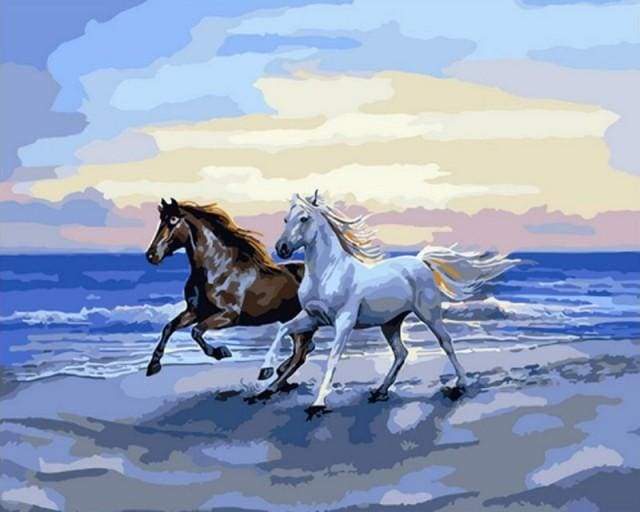 Horses on the beach