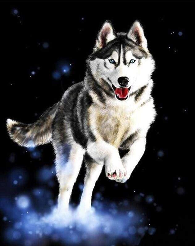 Husky