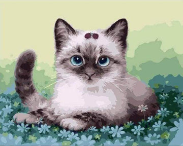 Kitten and Flowers