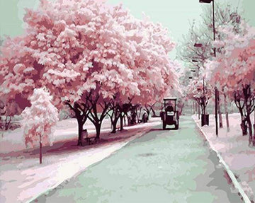 Kyoto Spring Cherry