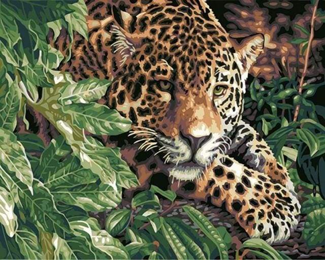 Leopard on the lookout