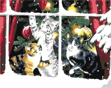 Lights and Cats