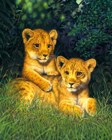 Lion cubs