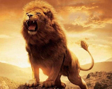 Lion in Force