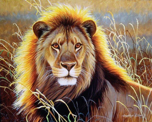 Lion in the savannah