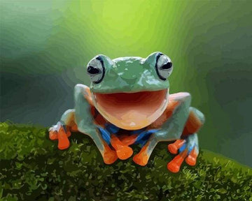 Little Frog