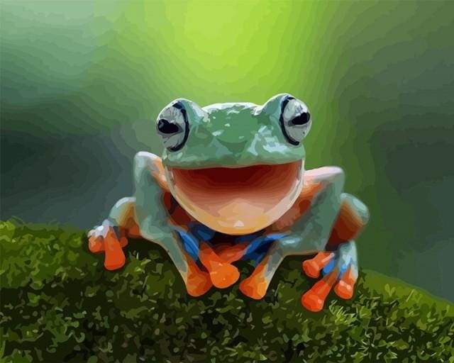 Little Frog