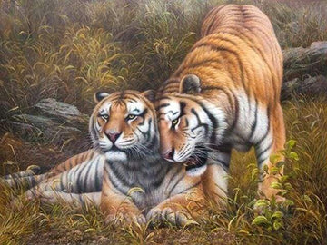 Loving Tigers