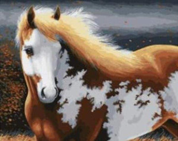 Magic Horse