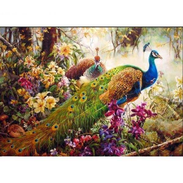 Majestic Peacock