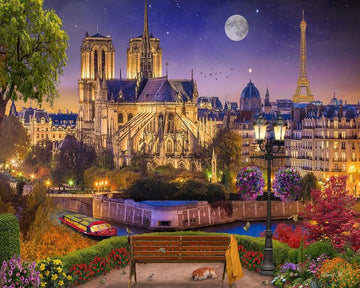 Notre-Dame and Eiffel Tower at night