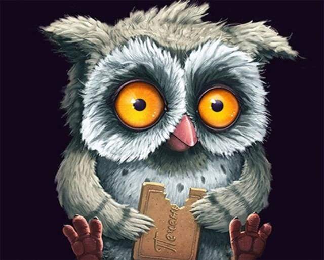 Owl with a cookie