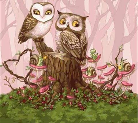 Owls in the Forest