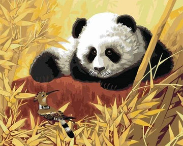 Panda And Bird