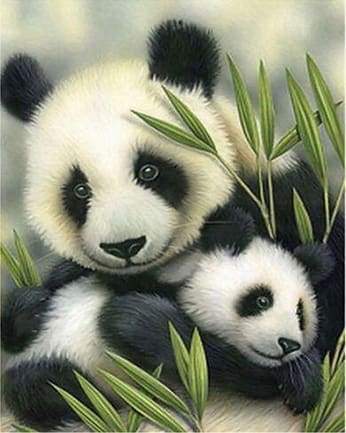 Panda Couple