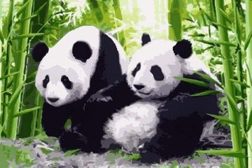 Pandas in Japan