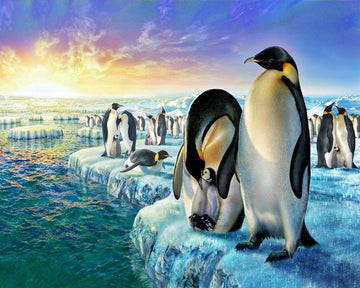 Penguins on the ice floe