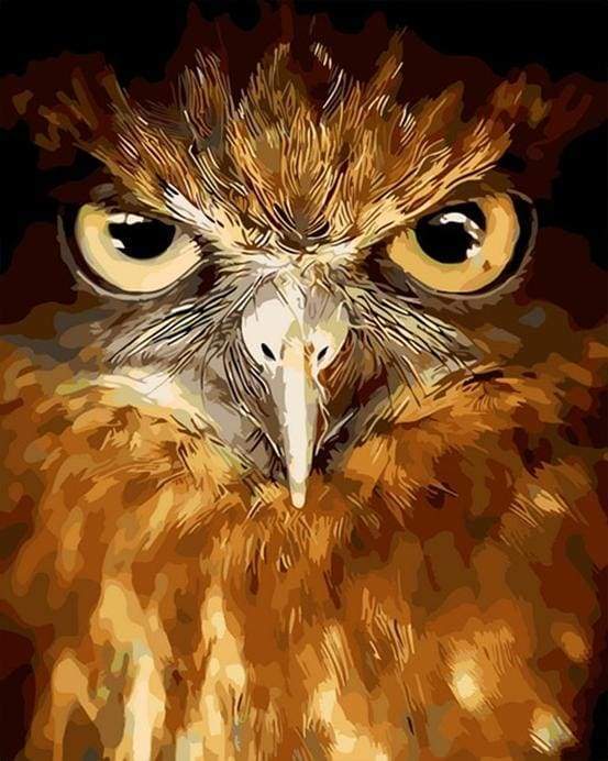 Piercing eyes Hawk