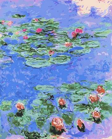 Pond Water Lilies
