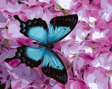 Purple Flower and Butterfly