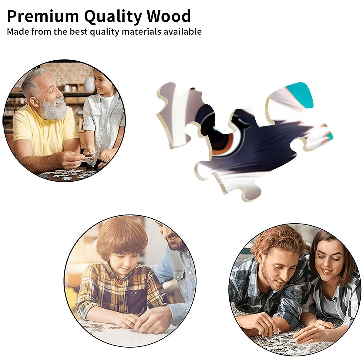Procyon Lotor