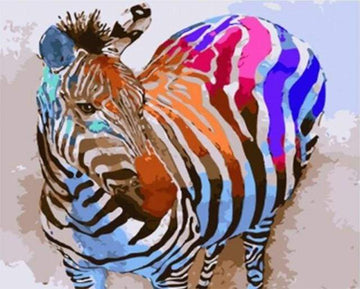 Rainbow Zebra