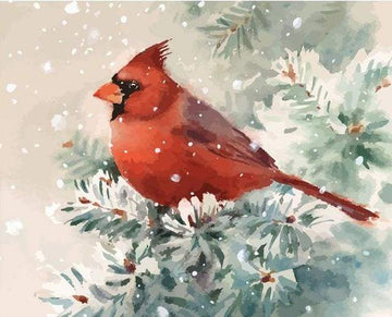 Red Bird and Snow