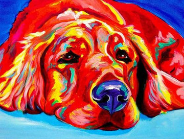 Red Dog lying on the floor