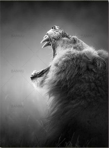Roar