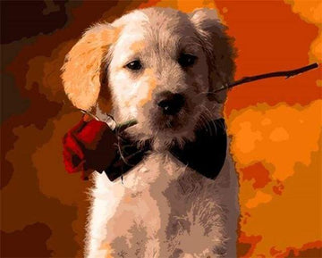 Romantic Dog