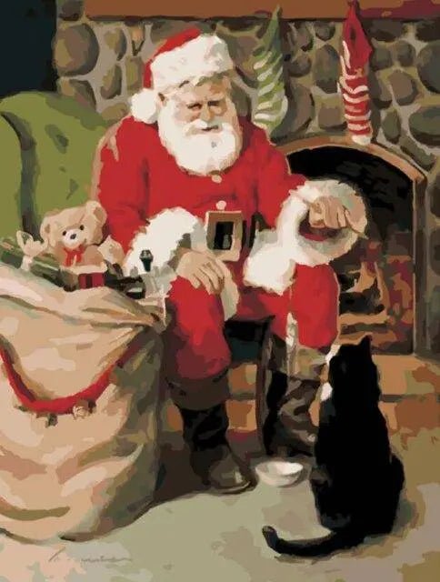 Santa Claus With A Cat