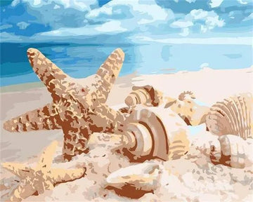 Sea Shells