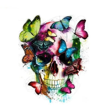 Skull