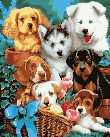 Small Dogs in a Basket