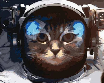 Space Cat