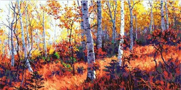 Spring Forest